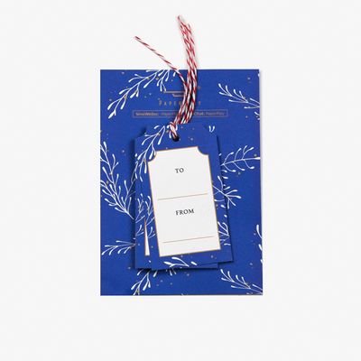 Paperplay Blue Plant Gift Tags (set of 6)
