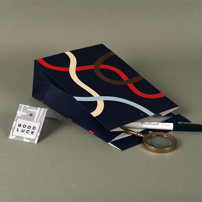 Paperplay Gift Bag-Dynamic Ribbon Pattern