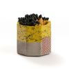 Buy Tenn Prairie Yellow & Black Graffiti Match Holder w/Striker & Black Match of Yellow & Black color for only $27.68 in Shop By, By Occasion (A-Z), By Festival, Birthday Gift, Housewarming Gifts, Congratulation Gifts, Matches, Employee Recongnition, ZZNA-Referral, Anniversary Gifts, ZZNA-Wedding Gifts, ZZNA-Onboarding, JAN-MAR, APR-JUN, OCT-DEC, Mid-Autumn Festival, Thanksgiving, Teacher’s Day Gift, Match, Easter Gifts, 20% OFF, 10% OFF at Main Website Store - CA, Main Website - CA