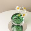 Buy Double Wall Glass Vase - Green - Final Sale for only $68.00 in Shop By, By Occasion (A-Z), By Festival, Birthday Gift, Housewarming Gifts, Congratulation Gifts, ZZNA-Referral, Get Well Soon Gifts, ZZNA-Onboarding, JAN-MAR, OCT-DEC, APR-JUN, Vase & Planter, Christmas Gifts, Easter Gifts, Teacher’s Day Gift, Mother's Day Gift, Black Friday, Thanksgiving, 30% OFF, By Recipient, Shop Deal, For Family at Main Website Store - CA, Main Website - CA