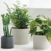 Buy KINTO PLANT POT 191 105mm - Earth Grey of Earth Grey color for only $35.00 in Popular Gifts Right Now, Shop By, By Festival, By Occasion (A-Z), ZZNA_New Immigrant, ZZNA-Referral, Get Well Soon Gifts, ZZNA_Graduation Gifts, APR-JUN, OCT-DEC, JAN-MAR, Housewarming Gifts, Easter Gifts, Thanksgiving, Vase & Planter at Main Website Store - CA, Main Website - CA