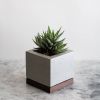 Buy Komolab Planter - Walnut for only $67.95 in Shop By, By Festival, By Occasion (A-Z), For Family, Get Well Soon Gifts, Anniversary Gifts, APR-JUN, OCT-DEC, ZZNA-Retirement Gifts, Congratulation Gifts, Housewarming Gifts, Birthday Gift, Mother's Day Gift, Easter Gifts, Thanksgiving, Vase & Planter at Main Website Store - CA, Main Website - CA