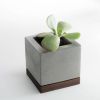 Buy Komolab Planter - Walnut for only $67.95 in Shop By, By Festival, By Occasion (A-Z), For Family, Get Well Soon Gifts, Anniversary Gifts, APR-JUN, OCT-DEC, ZZNA-Retirement Gifts, Congratulation Gifts, Housewarming Gifts, Birthday Gift, Mother's Day Gift, Easter Gifts, Thanksgiving, Vase & Planter at Main Website Store - CA, Main Website - CA