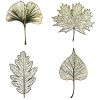 Buy Four Seasons of Leaves Bookmark (4-piece gift box) for only $40.00 in Shop By, By Festival, By Occasion (A-Z), OCT-DEC, JAN-MAR, Birthday Gift, Bookmark Set, Teacher’s Day Gift, Thanksgiving, Chinese New Year, New Year Gifts, 5% off at Main Website Store - CA, Main Website - CA