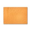 Buy Pearl Paper - Orange Feather for only $4.25 in Products, Gifting Supply, Wrapping Material, Wrapping Paper, Specialty Paper, Elegant at Main Website Store - CA, Main Website - CA