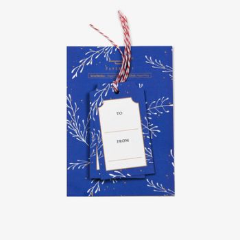 Paperplay Blue Plant Gift Tags (set of 6)