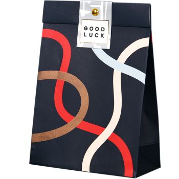 Paperplay Gift Bag-Dynamic Ribbon Pattern