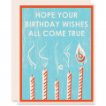Heartell Press Hope Your Wishes All Come True Birthday Card